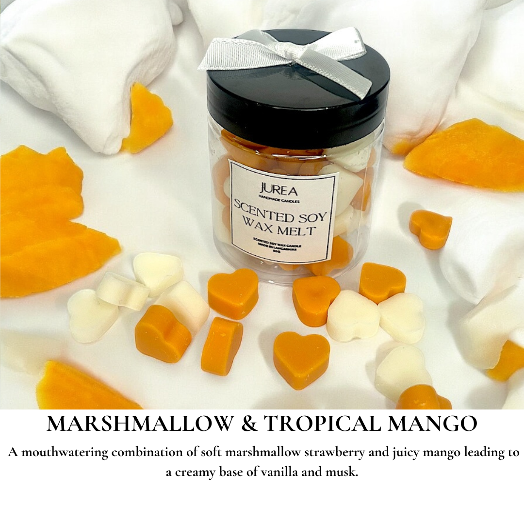 Wax Melt Scoopies 50g