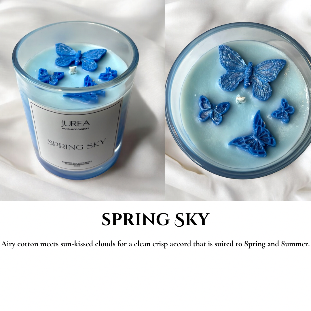 Cleaning Scented Soy Candle Collection