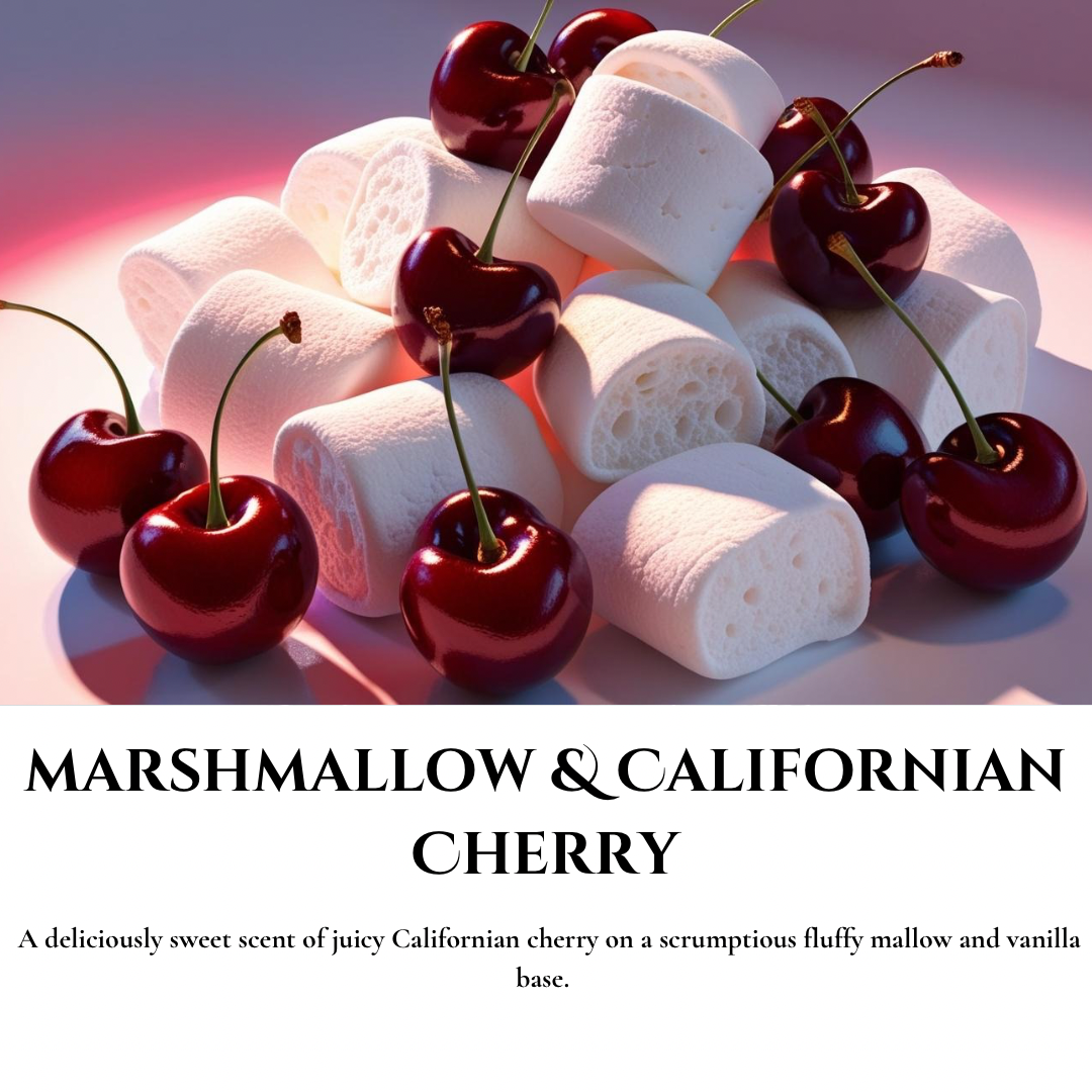 Marshmallow Scented Soy Wax Melt Snap Bars 50g