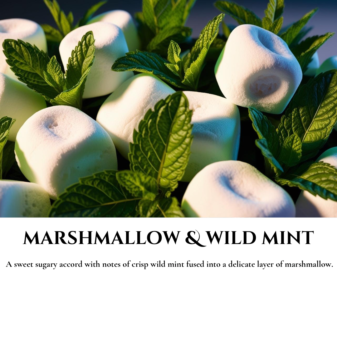 Marshmallow Scented Soy Wax Melt Snap Bars 50g